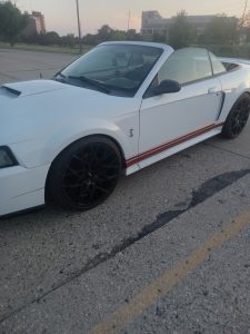 2001 mustang
